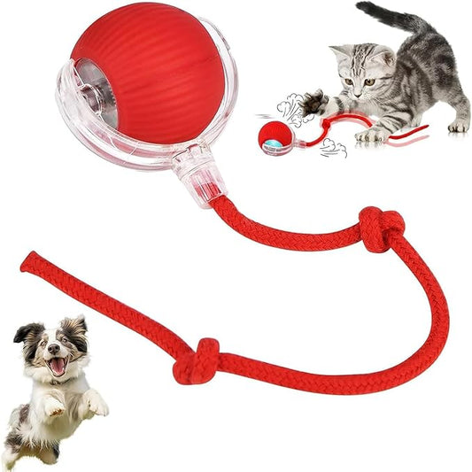 Smart Rolling Cat Toy Ball – Interactive Play with Bird Sound & Auto Movement